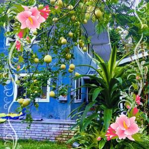 Meet your Posher, Fran